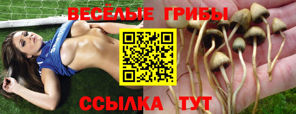 Псилоцибиновые грибы Magic Shrooms Южноуральск