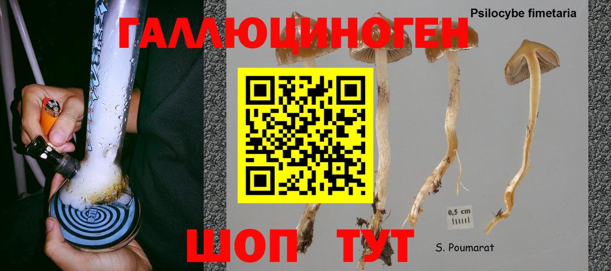 Южноуральск  Галлюциногенные грибы Psilocybine cubensis  Вход с VPN 